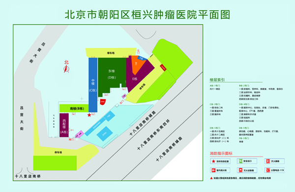 班花被我用基霸捅北京市朝阳区桓兴肿瘤医院平面图